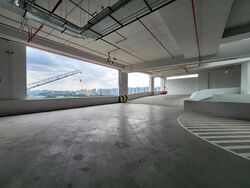 Ct Foodnex (D25), Factory #526398571